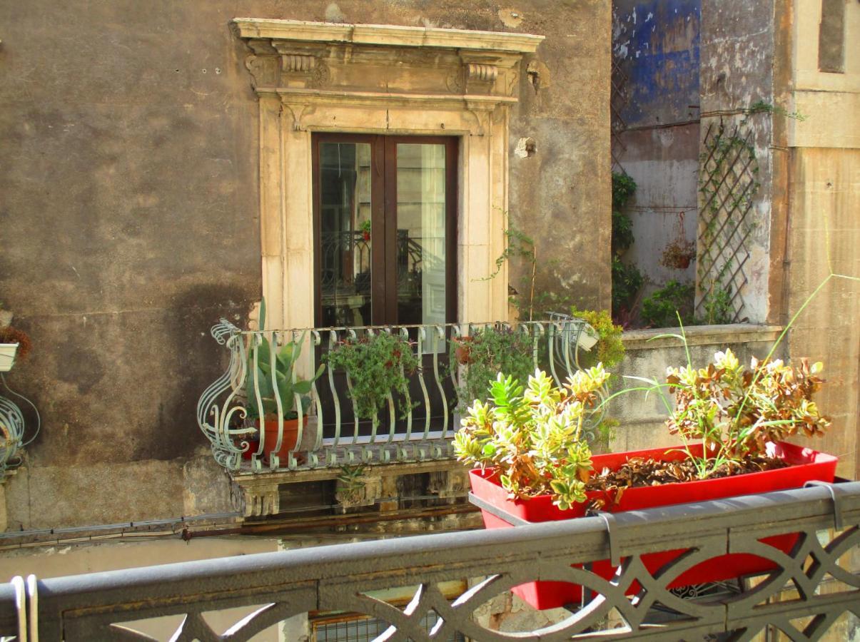 Diletta Oasi Bed and Breakfast Κατάνια Εξωτερικό φωτογραφία