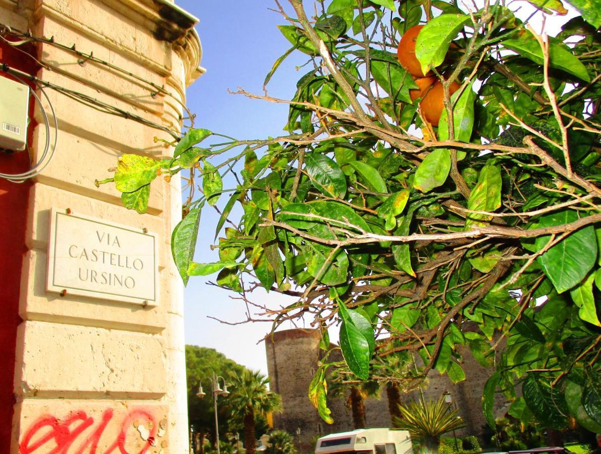 Diletta Oasi Bed and Breakfast Κατάνια Εξωτερικό φωτογραφία