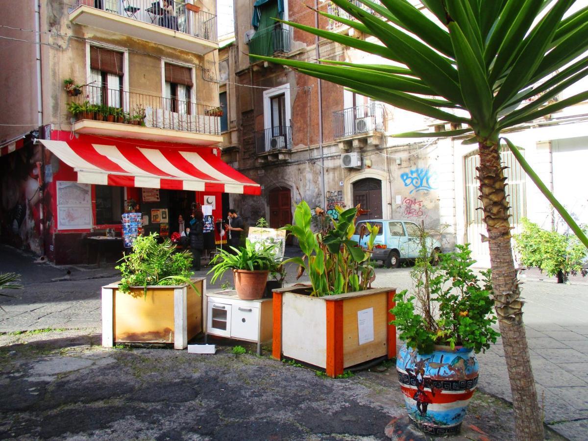 Diletta Oasi Bed and Breakfast Κατάνια Εξωτερικό φωτογραφία