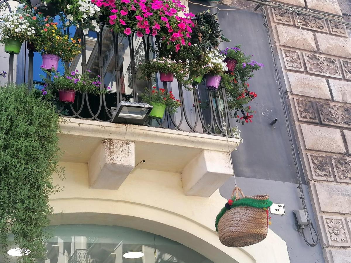 Diletta Oasi Bed and Breakfast Κατάνια Εξωτερικό φωτογραφία