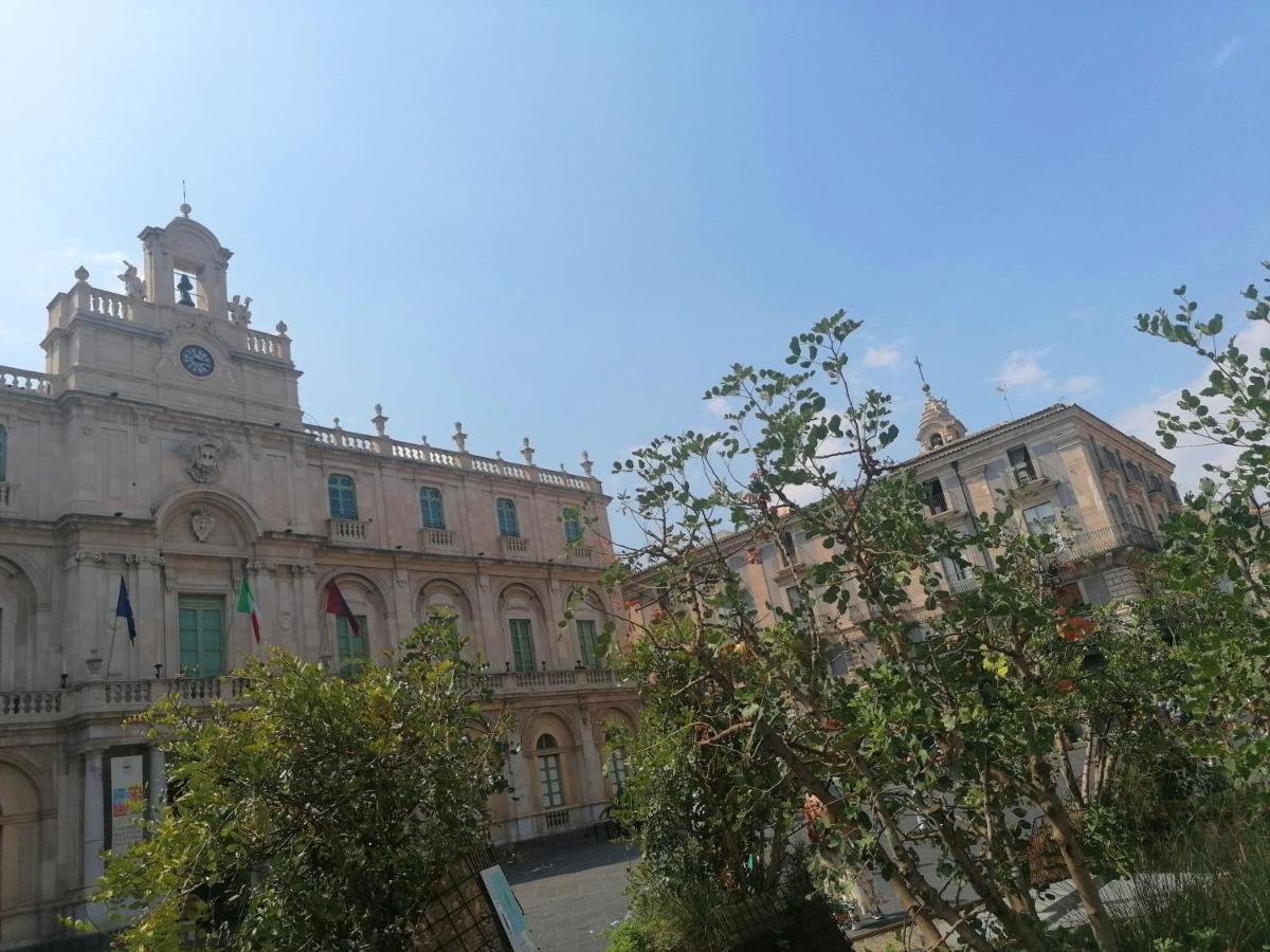 Diletta Oasi Bed and Breakfast Κατάνια Εξωτερικό φωτογραφία